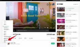 如何下载网站视频,网站视频下载全攻略