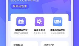 视频去水印工具,还原高清画质秘籍